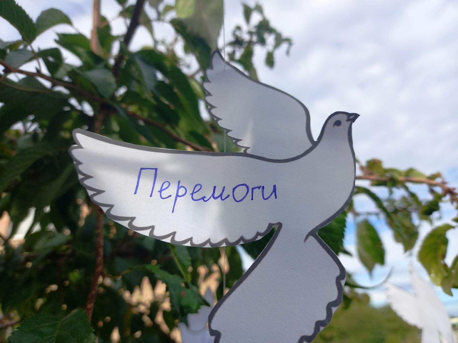 зображення_viber_2025-09-19_20-52-15-967